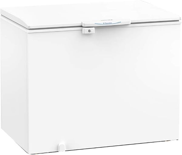 Freezer Horizontal Electrolux H300 305L
