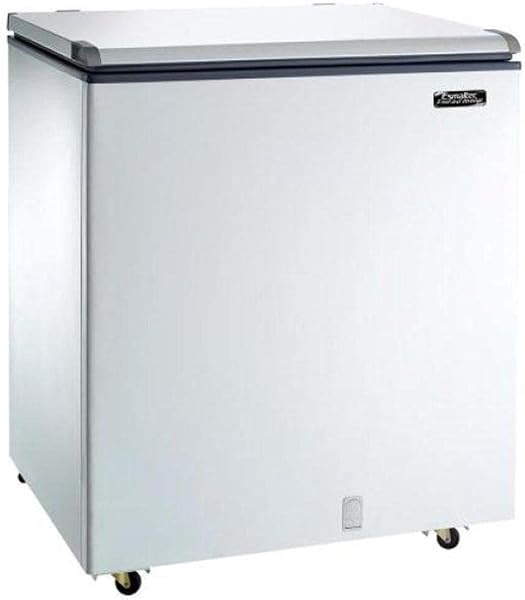 Freezer Horizontal Esmaltec 250L Dupla Ação